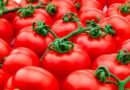 Major Scientific Breakthrough Increases Crop Yields By Using The Plant’s Own Natural Mechanisms