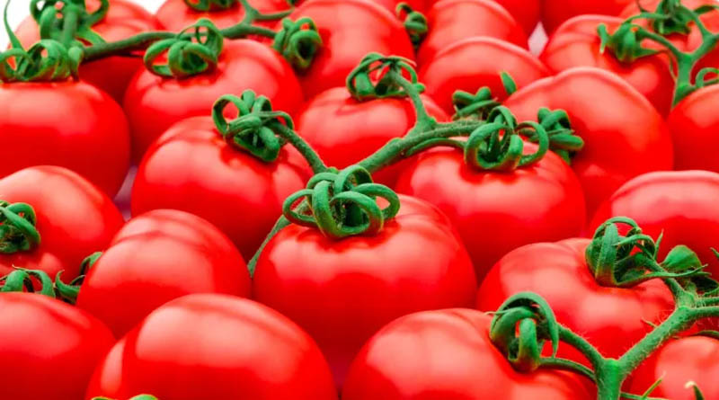 Major Scientific Breakthrough Increases Crop Yields By Using The Plant’s Own Natural Mechanisms