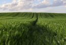 Modern Agricultural Market System To Be Built By 2030
