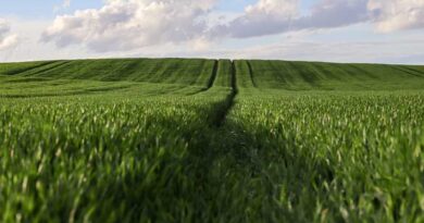Modern Agricultural Market System To Be Built By 2030