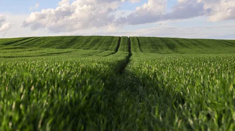 Modern Agricultural Market System To Be Built By 2030