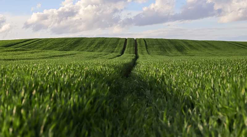 Modern Agricultural Market System To Be Built By 2030