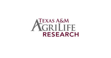 New CRISPR Tool Cracks Regeneration Barrier in Tough Crops
