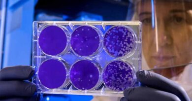 New Diagnostic Test Detects Only Living, Disease-Causing Bacteria in Crops