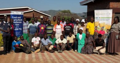 New Evidence Strengthens Business Case For Climate Smart Mechanization In Zimbabwe’s Sorghum Sector
