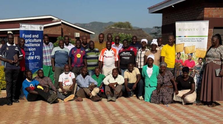 New Evidence Strengthens Business Case For Climate Smart Mechanization In Zimbabwe’s Sorghum Sector