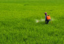 PMFAI Urges PMO Against Five-Year Regulatory Data Protection for Agrochemicals in India