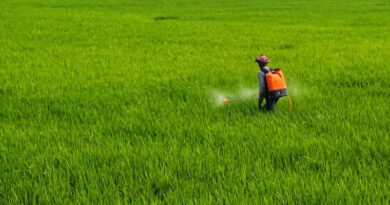 PMFAI Urges PMO Against Five-Year Regulatory Data Protection for Agrochemicals in India