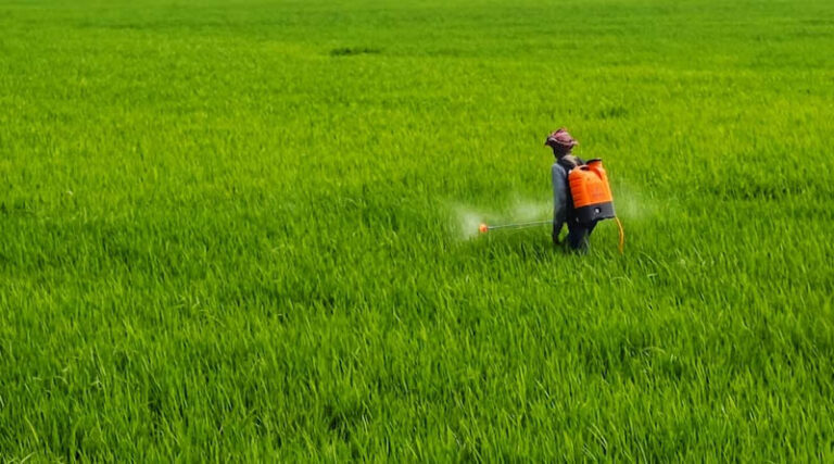PMFAI Urges PMO Against Five-Year Regulatory Data Protection for Agrochemicals in India