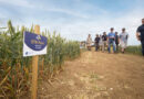 Pace Fits The Bill In North Norfolk