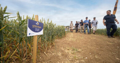 Pace Fits The Bill In North Norfolk