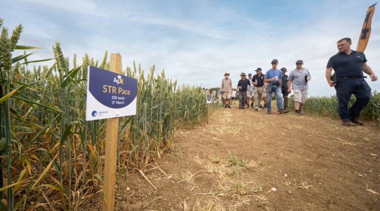 Pace Fits The Bill In North Norfolk