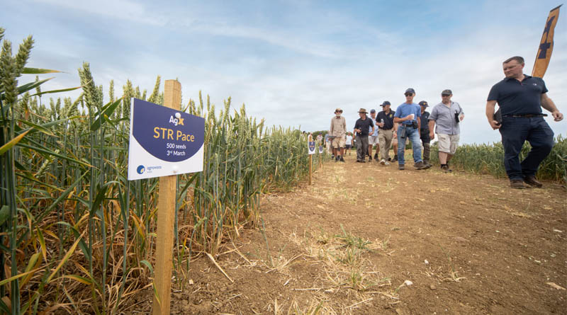 Pace Fits The Bill In North Norfolk