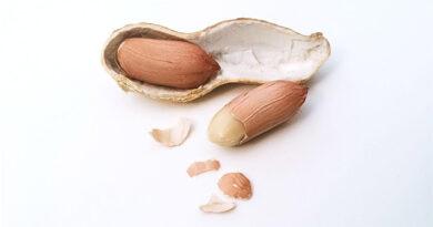 Peanut Pan-Genome Study Uncovers Gene Behind 20% Yield Boost in Dense Planting