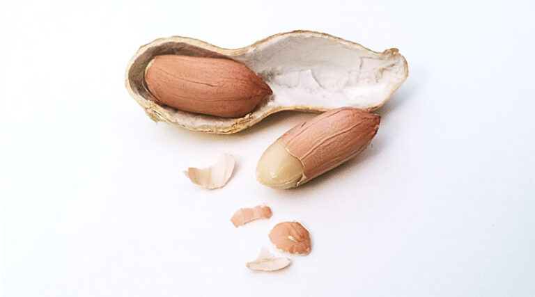 Peanut Pan-Genome Study Uncovers Gene Behind 20% Yield Boost in Dense Planting