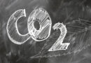 Punjab and Haryana Farmers Set to Receive First Soil Carbon Payments