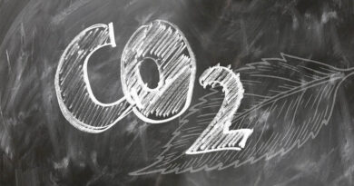 Punjab and Haryana Farmers Set to Receive First Soil Carbon Payments