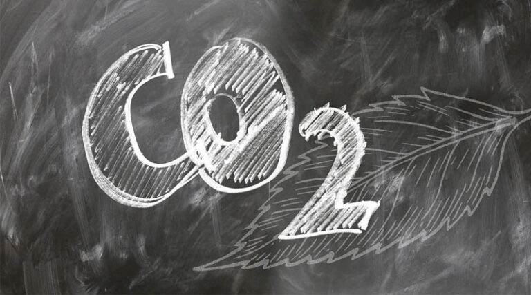 Punjab and Haryana Farmers Set to Receive First Soil Carbon Payments