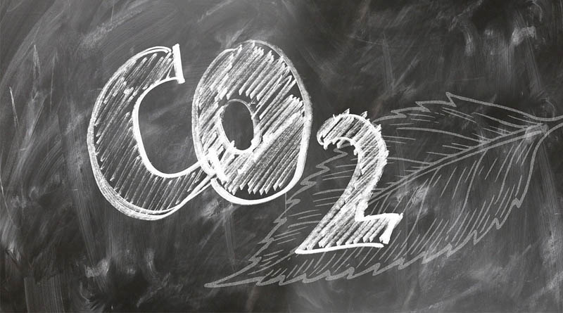 Punjab and Haryana Farmers Set to Receive First Soil Carbon Payments
