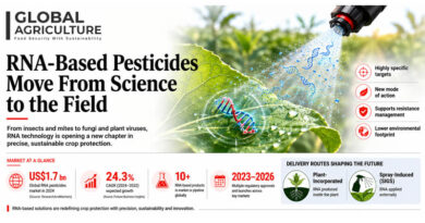 RNA-Based Pesticides Move From Laboratory Science to Commercial Crop Protection RNA-Based Pesticides Move From Laboratory Science to Commercial Crop Protection
