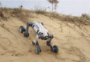 Robot Dogs Cut Grape Harvest Labour by 70 Percent in China's Turpan Vineyards