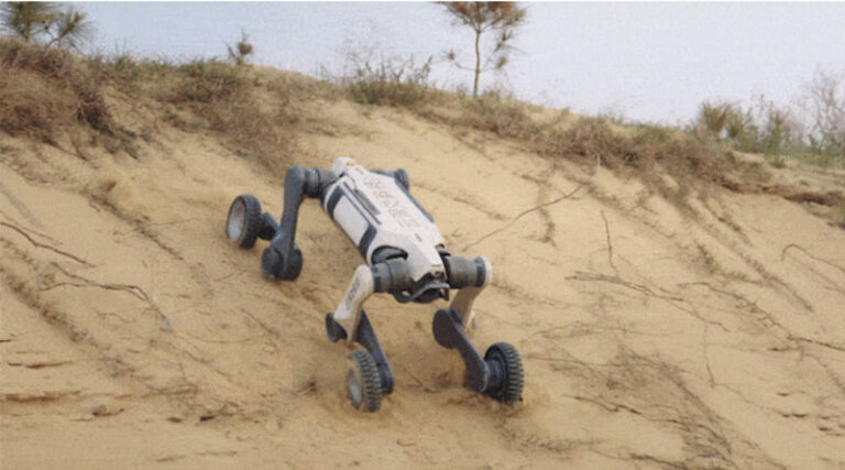 Robot Dogs Cut Grape Harvest Labour by 70 Percent in China's Turpan Vineyards