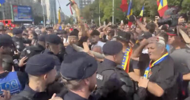 Romanian Farmers Clash With Police Over EU Livestock Export Ban
