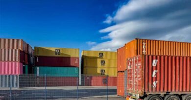 Russia Reroutes Grain Exports as Black Sea Strikes Halve Shipments
