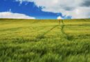 Seva Sankalp-Kahani Badlav Ki’ Giving New Direction to Public Service – Agriculture Minister Shyam Singh Rana