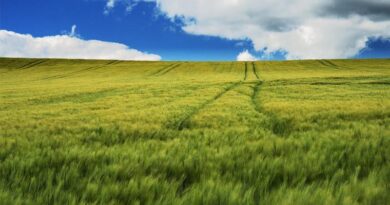 Seva Sankalp-Kahani Badlav Ki’ Giving New Direction to Public Service – Agriculture Minister Shyam Singh Rana