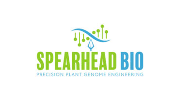 St. Louis Startup Spearhead Bio Raises $1.62M for New Crop Gene-Editing Tool