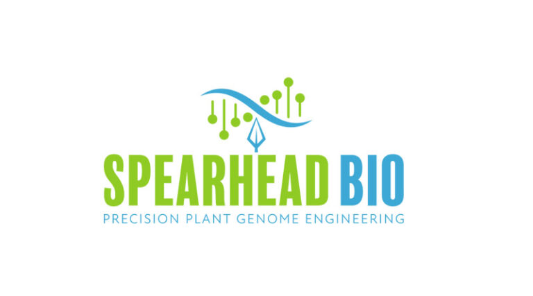 St. Louis Startup Spearhead Bio Raises $1.62M for New Crop Gene-Editing Tool
