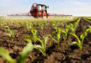 Statement on EPA and HHS Partnership for Glyphosate’s Registration Review