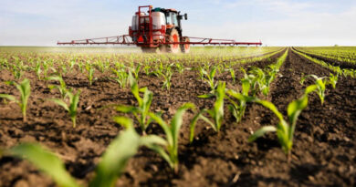 Statement on EPA and HHS Partnership for Glyphosate’s Registration Review