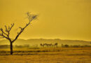 Stormy Weather in Southern Brazil, Hot and Dry in Central Brazil