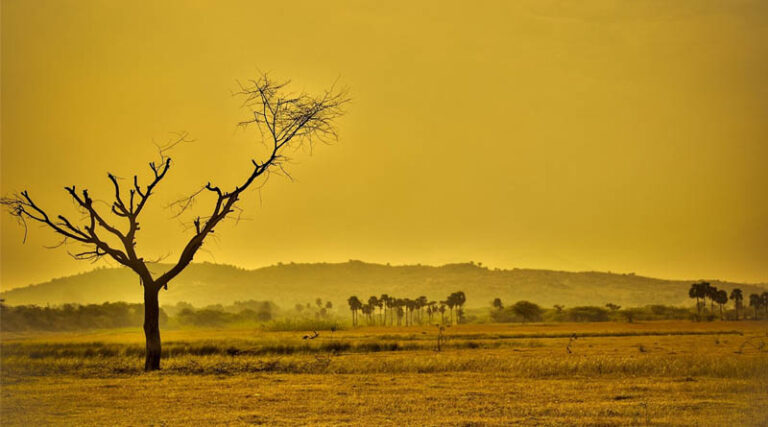 Stormy Weather in Southern Brazil, Hot and Dry in Central Brazil