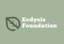 Study Regenerative Farms Store More Carbon Than Planned Capture Tech