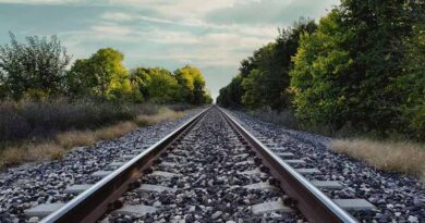 Suspected Sabotage Disrupts Dutch Rail Network as Farmers Protest Nitrogen Rules
