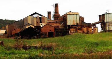 Sweet Success Punjab's Five Cooperative Sugar Mills Bag National Awards