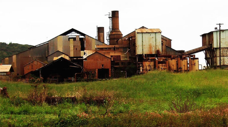 Sweet Success Punjab's Five Cooperative Sugar Mills Bag National Awards