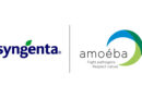 Syngenta and Amoéba Sign Exclusive European Distribution Agreement for Biofungicide