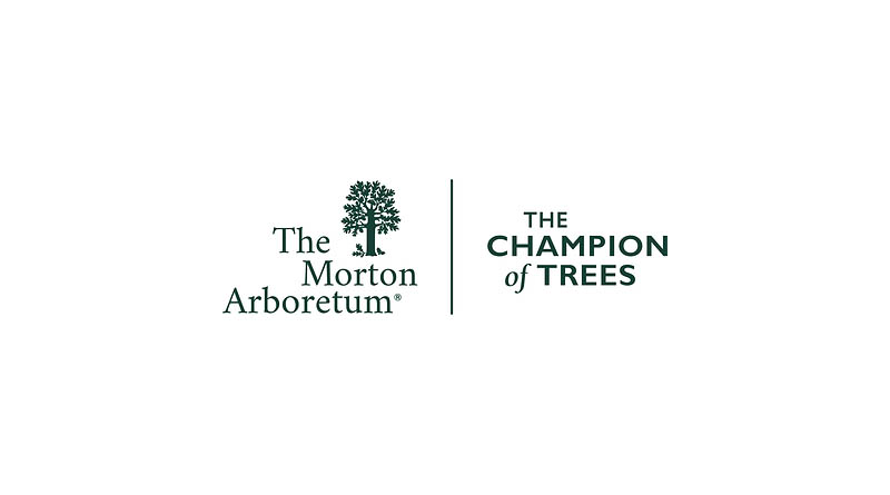 The Morton Arboretum Named A Co-winner In World Business Chicago's 'horizon Lines Visions For Chicago 2050' Competition
