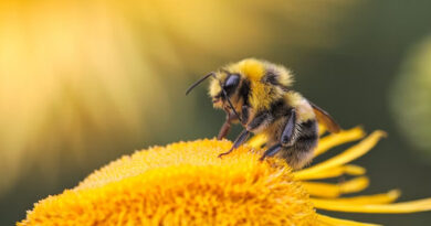 UC Riverside's AI Screens 50 Million Compounds to Find Chemicals That Steer Bees Away From Pesticides