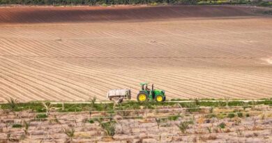 UK Farmers Face Pesticide Access Uncertainty as UK-EU Alignment Talks Continue Into Autumn
