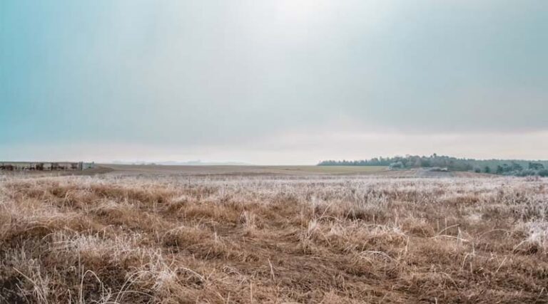 US Drought Expands Across Midwest and Plains as Harvest Approaches