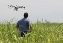 US Researcher Wins Federal Grant to Pair Drones With Ground Robots for Precision Farming