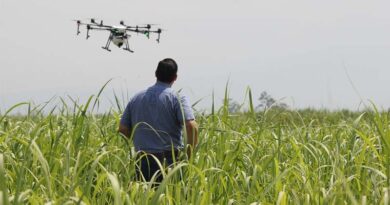 US Researcher Wins Federal Grant to Pair Drones With Ground Robots for Precision Farming