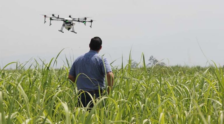 US Researcher Wins Federal Grant to Pair Drones With Ground Robots for Precision Farming