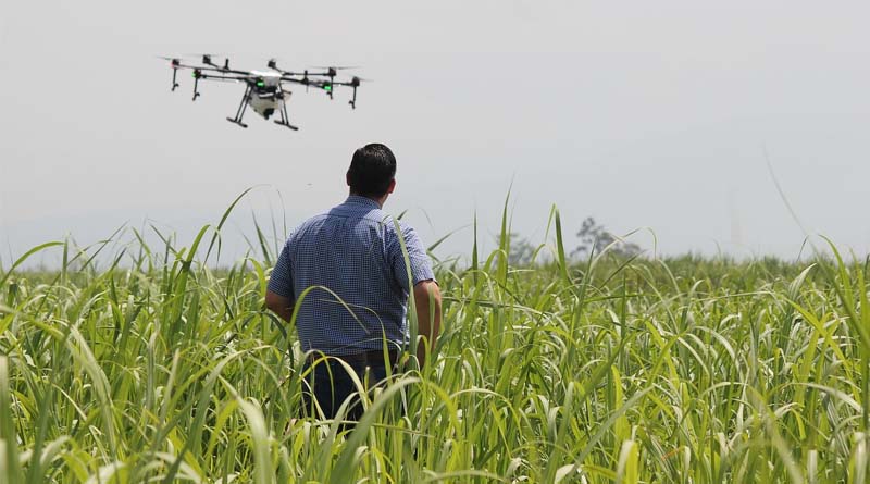 US Researcher Wins Federal Grant to Pair Drones With Ground Robots for Precision Farming