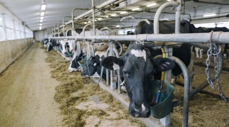 US Slaps Outright Import Bans on Canadian Dairy, Alcohol and Autos as Trade War Deepens